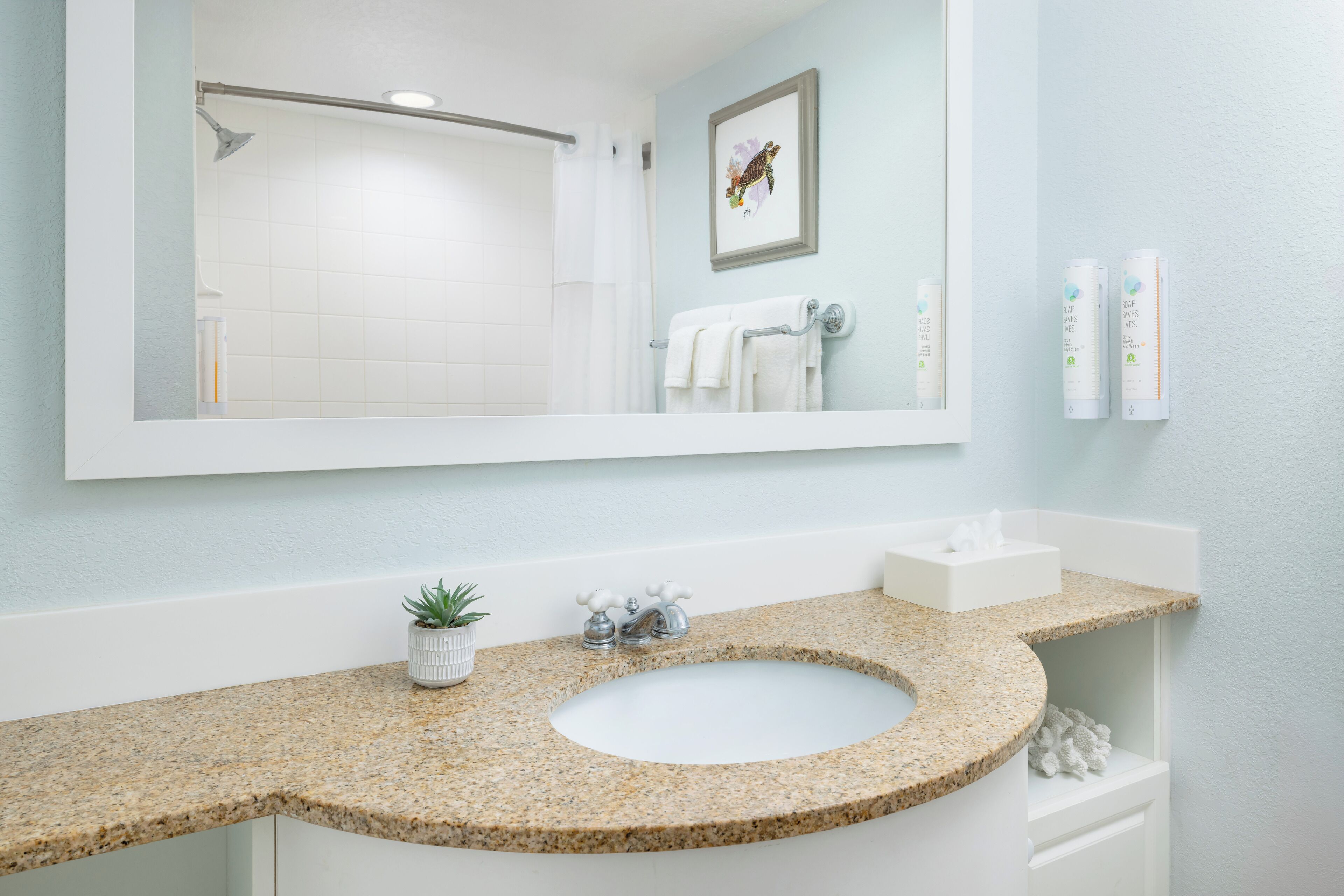 A bathroom with a granite countertop sink, a small potted plant, a framed picture on the wall, and two toiletry bottles.