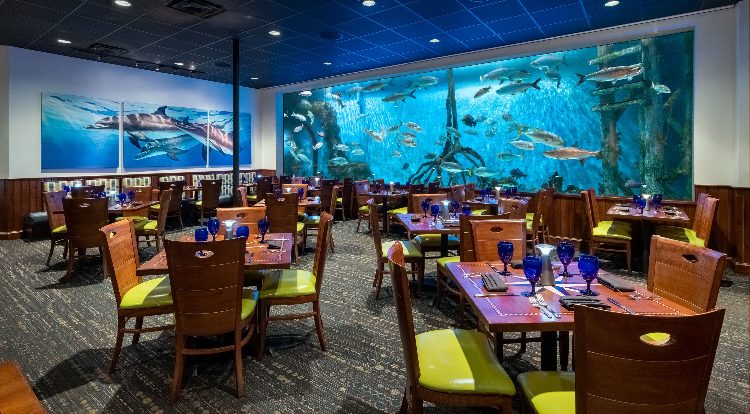 A restaurant with multiple tables and chairs, an aquarium wall, and a ceiling with recessed lighting.