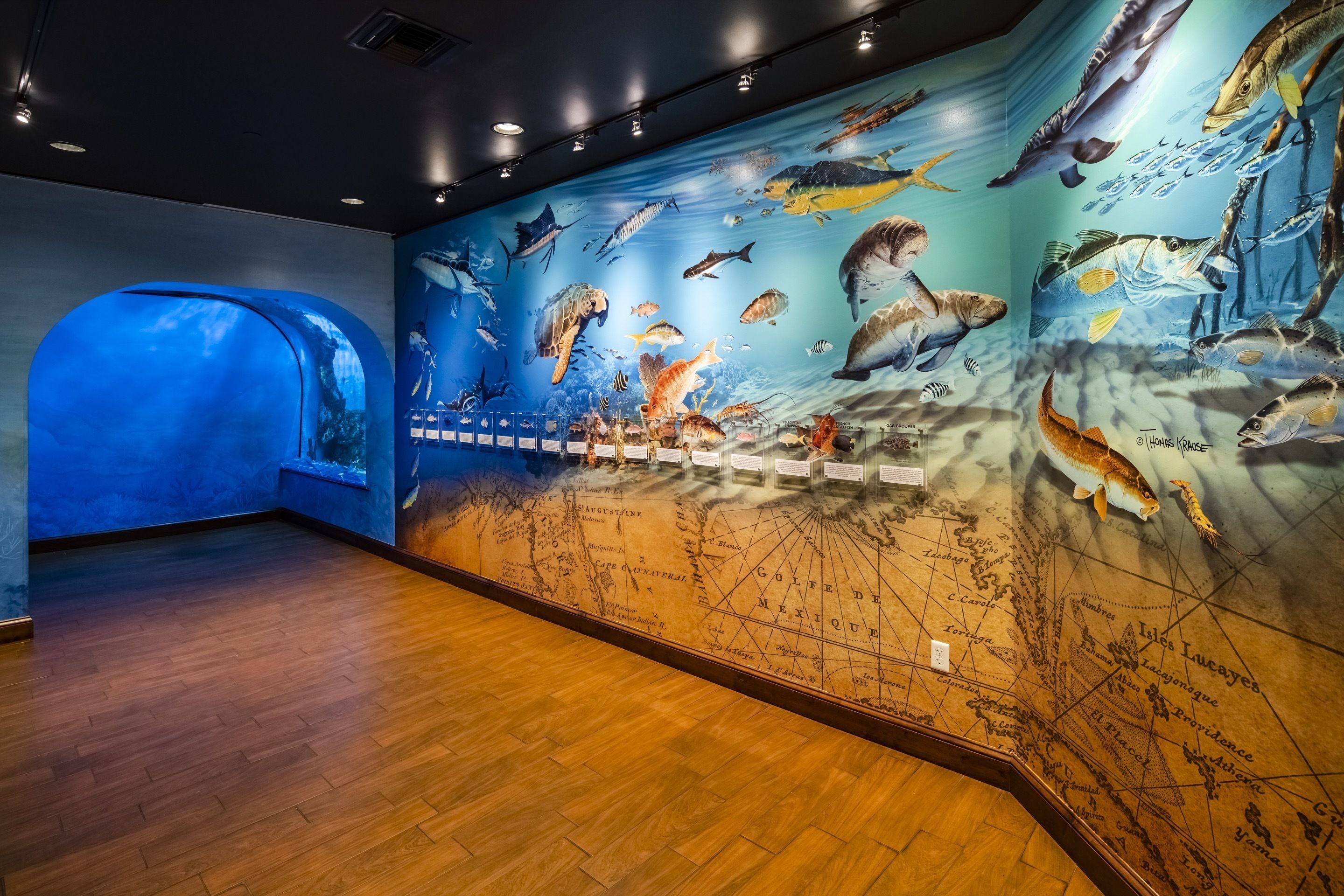 Una exposición de museo con un gran mural de vida marina y un mapa del Golfo de México.