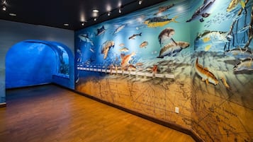 Una exposición de museo con un gran mural de vida marina y un mapa del Golfo de México.