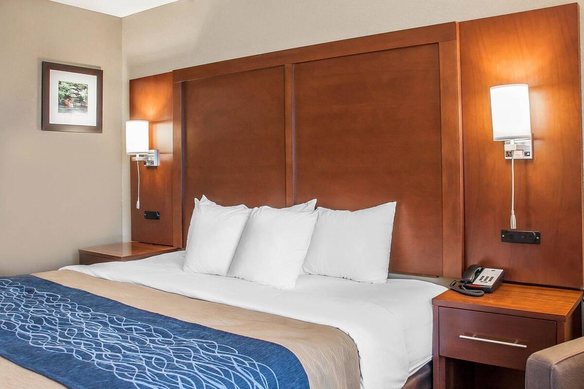 A hotel room with a large bed, a bedside table with a phone, a nightstand, and a wall-mounted lamp.