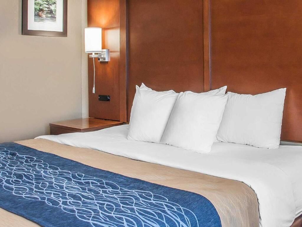 Premium bedding, down comforters, desk, iron/ironing board