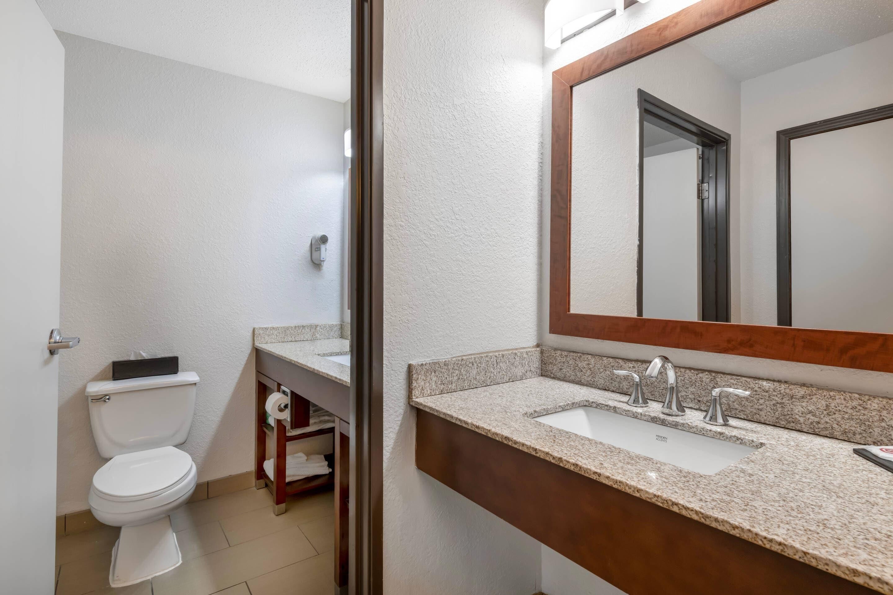 Une salle de bain avec des toilettes, un lavabo et un miroir.