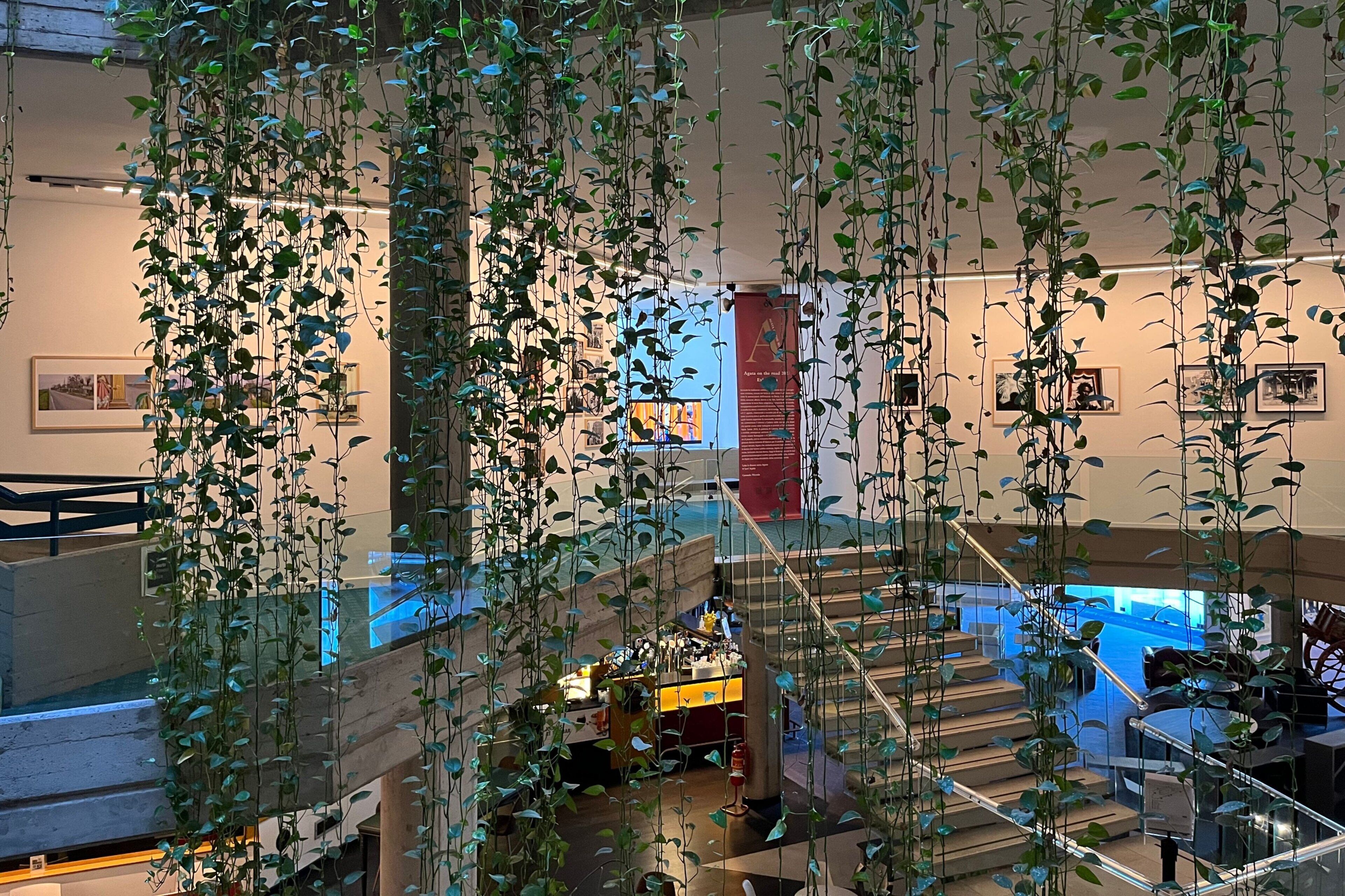 Interior com vários níveis, plantas penduradas, uma escadaria e um espaço de bar.