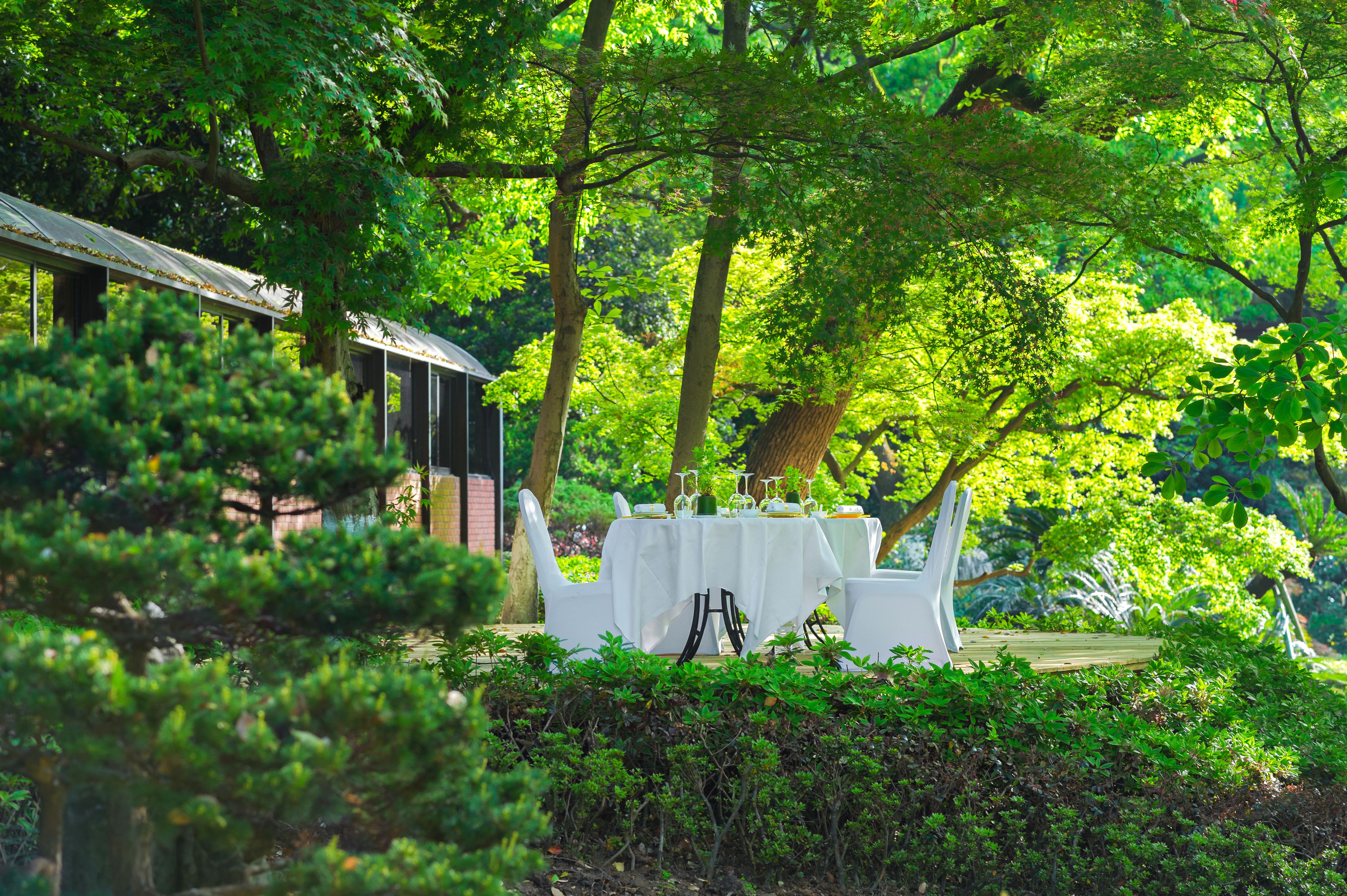 west wing executive suite | garden view