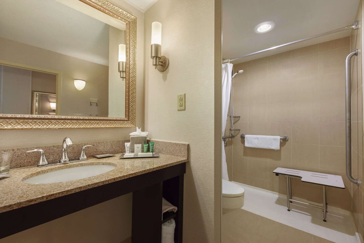 room, 1 king bed, accessible (roll-in shower, mobility & hearing) | bathroom shower