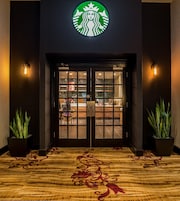Entrada de Starbucks con fachada oscura, puertas dobles y dos plantas en macetas a cada lado.