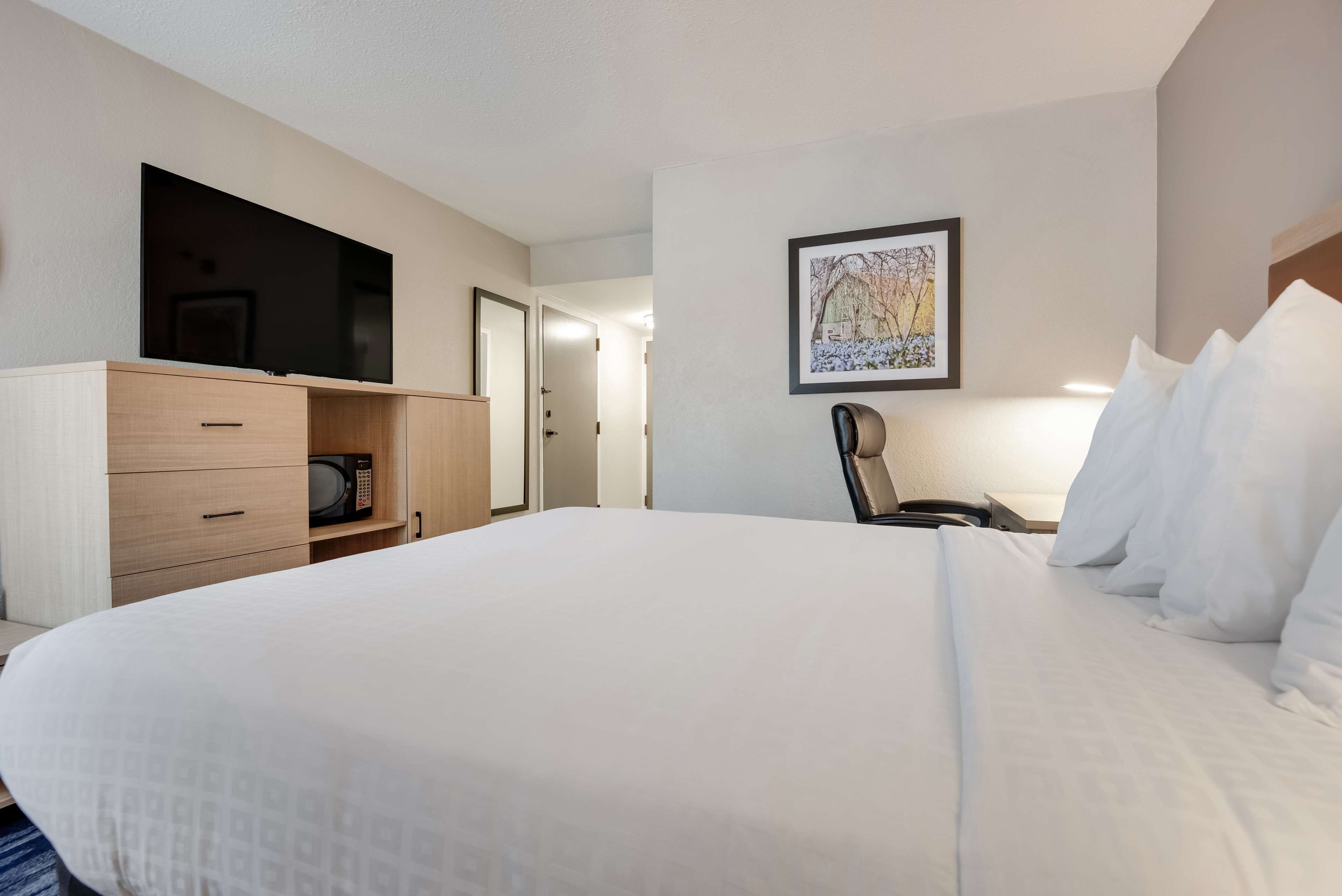 standard room, 1 queen bed, accessible, non smoking | desk, laptop workspace, iron/ironing board, rollaway beds