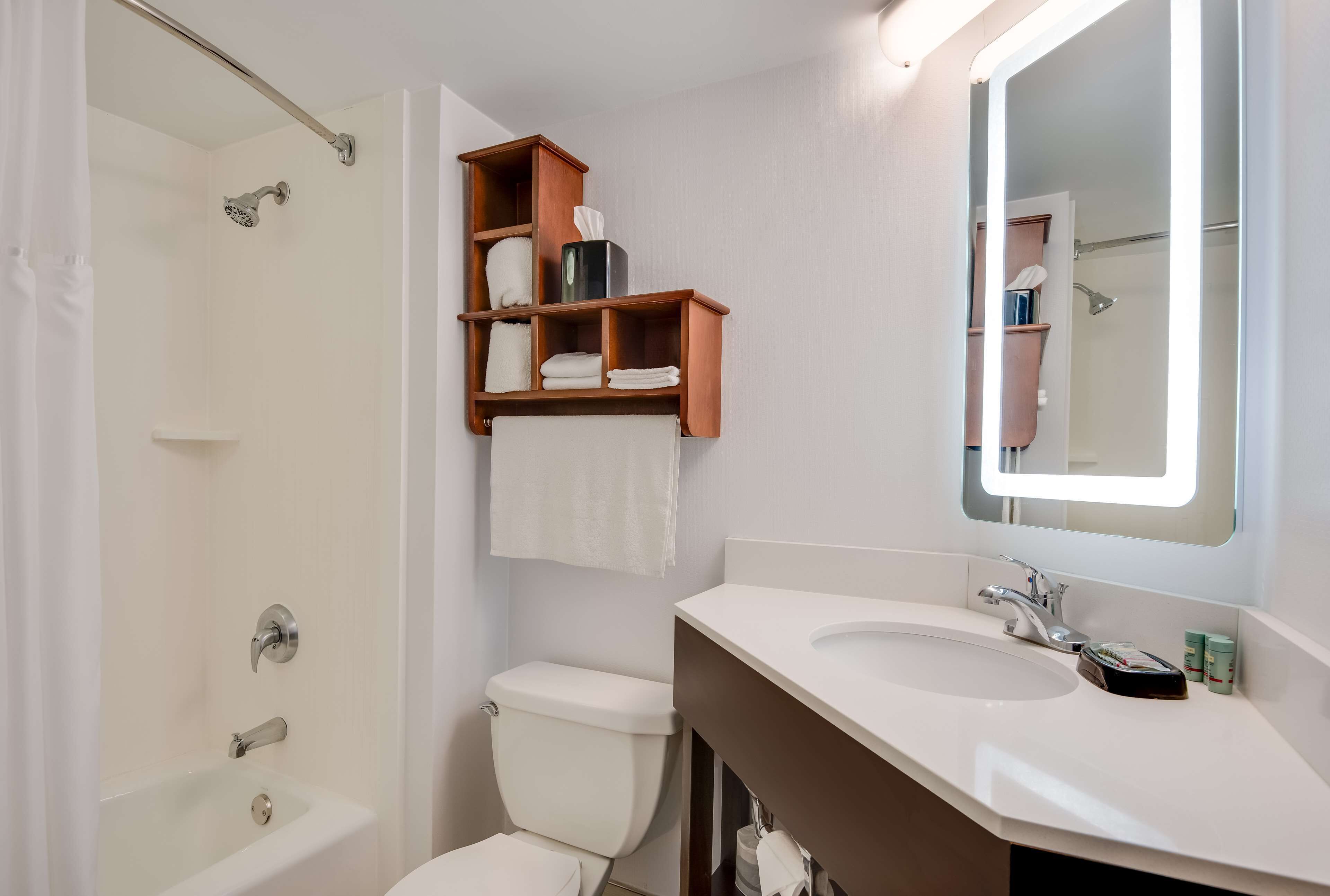 suite, 1 king bed, non smoking, refrigerator & microwave (separate living room;with sofabed) | bathroom | hydromassage showerhead, free toiletries, hair dryer, towels