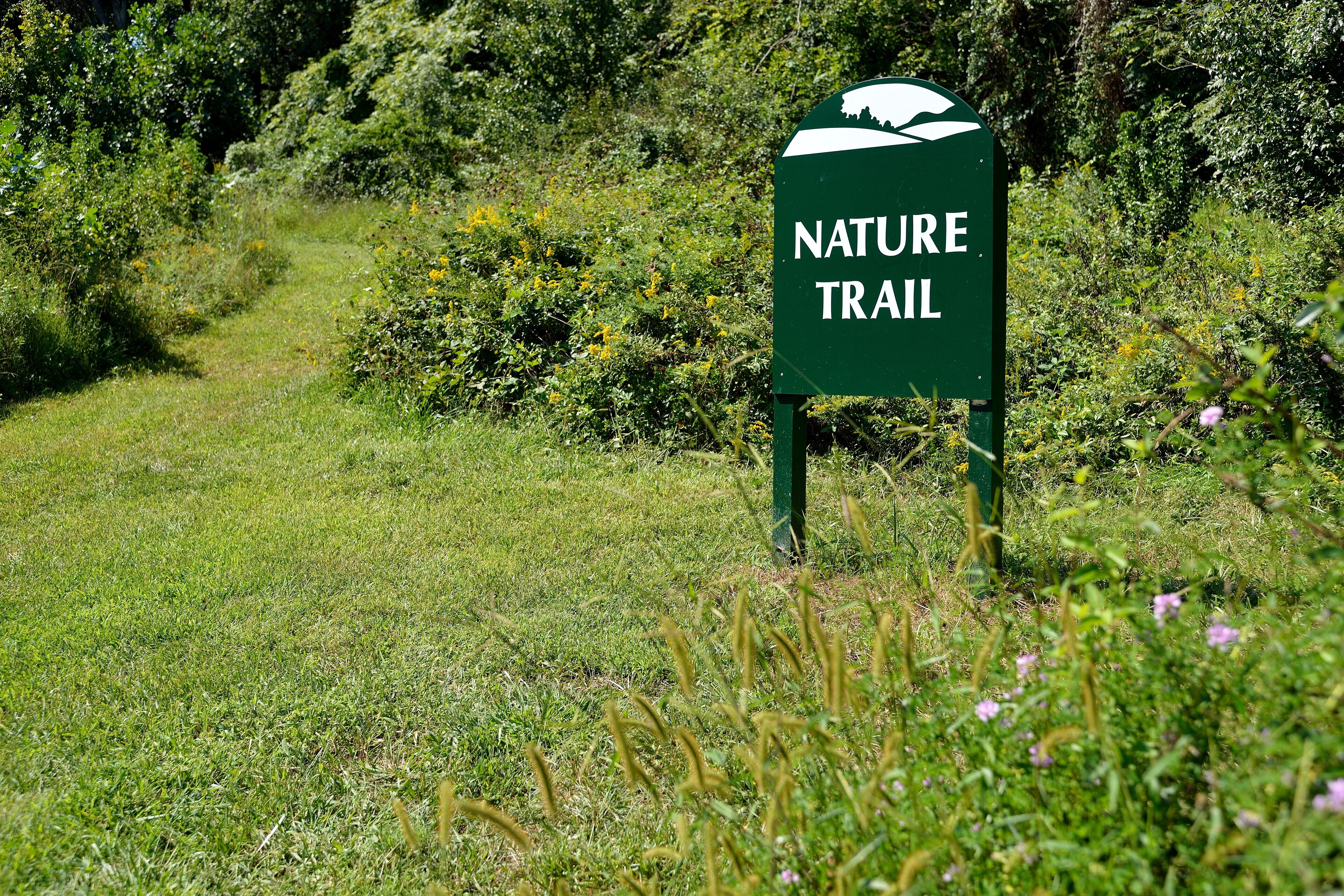 A nature trail sign surrounded by lush greenery.