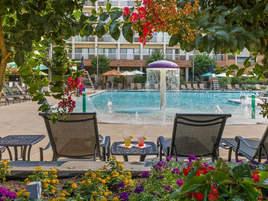 Zona de piscina con sillones de descanso y una mesa, rodeada de flores y un edificio al fondo.