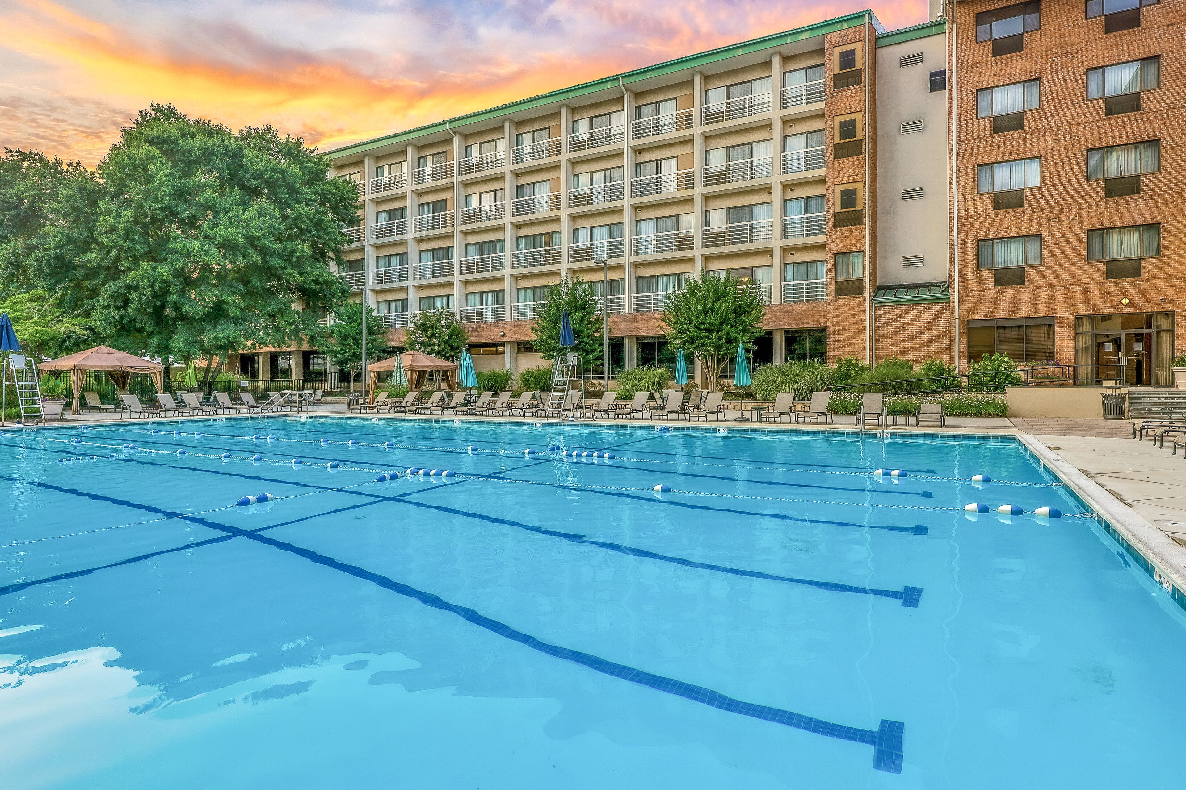 A swimming pool with multiple lanes, surrounded by lounge chairs and umbrellas, with a hotel building in the background.