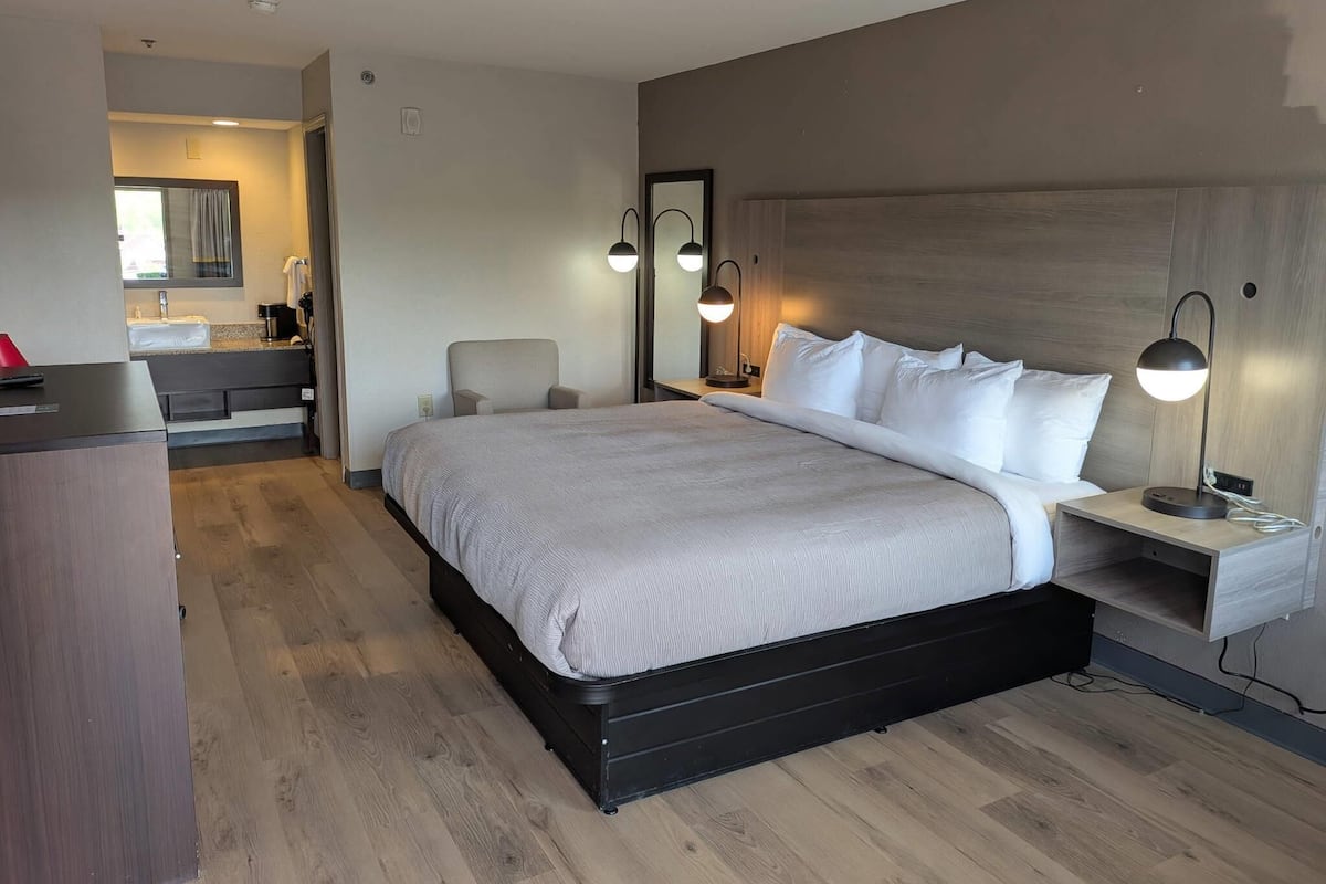 Standard Room, 1 King Bed, Non Smoking