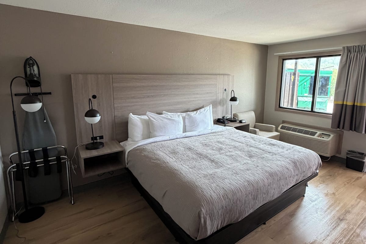 Standard Room, 1 King Bed, Non Smoking | Iron/ironing board, free cribs/infant beds, free WiFi, bed sheets