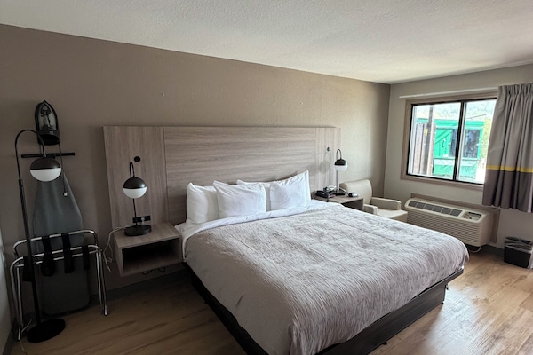 Standard Room, 1 King Bed, Non Smoking | Iron/ironing board, cribs (surcharge), rollaway beds (surcharge)