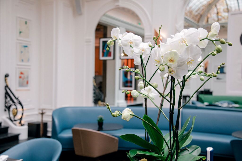 breakfast, lunch, dinner served; french cuisine