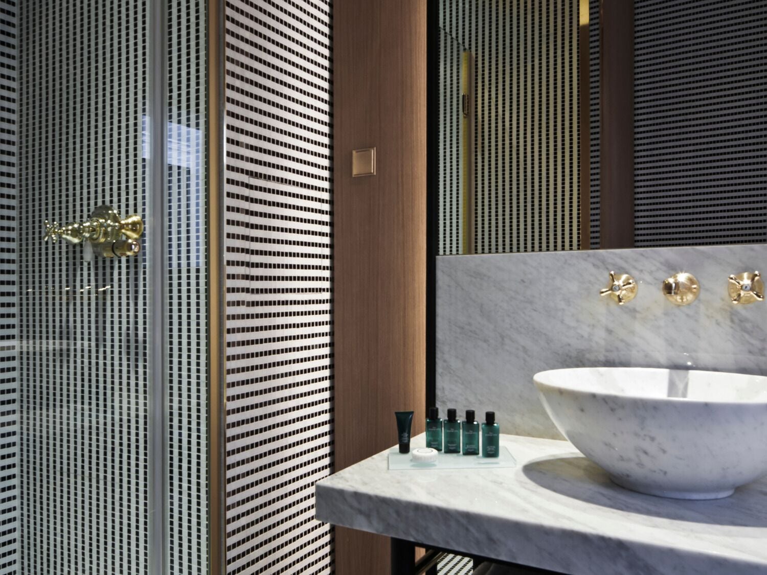 Foto - Hotel Vernet