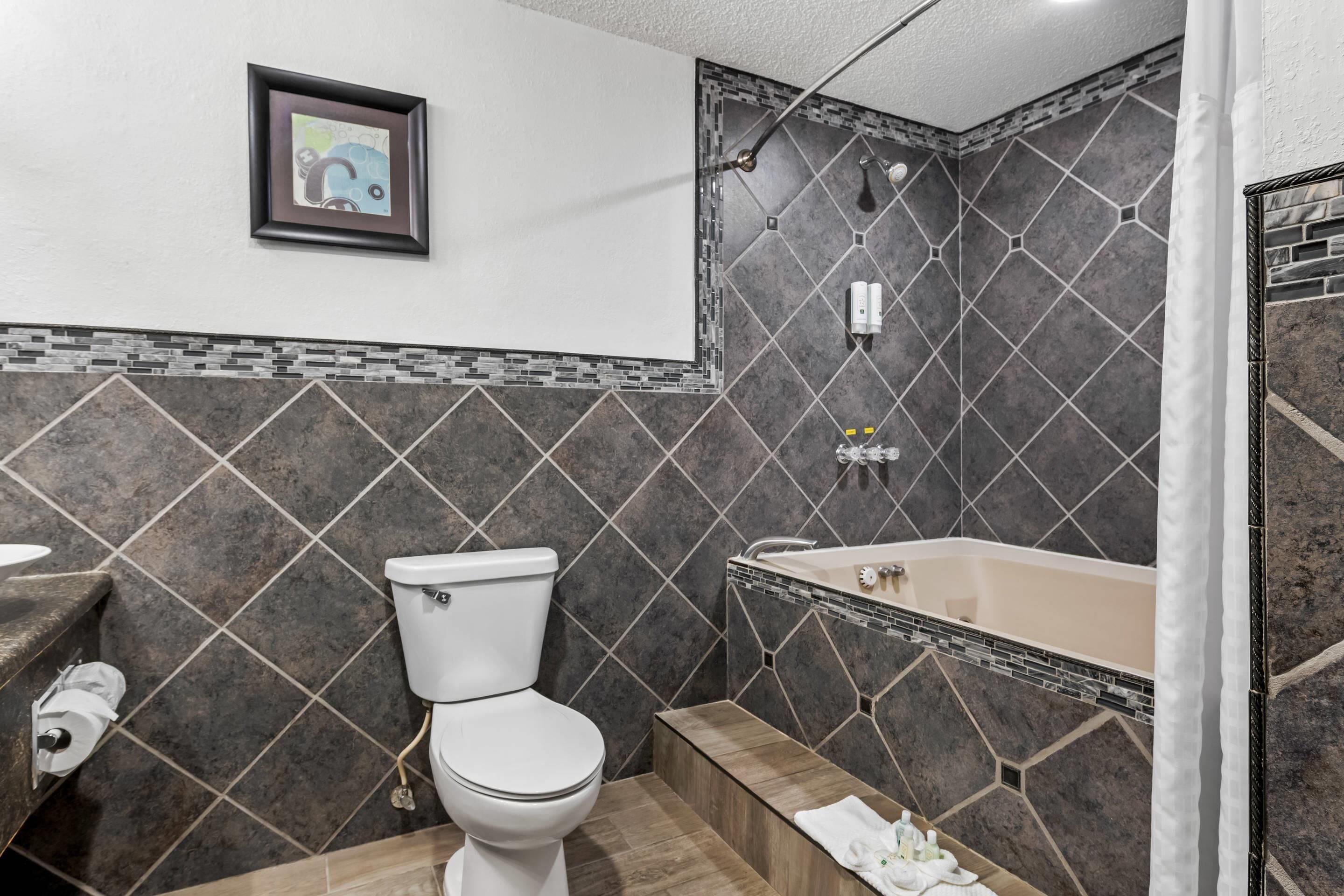 Suite, 1 letto king, non fumatori | Una scrivania, postazione laptop, ferro/asse da stiro, Wi-Fi gratuito