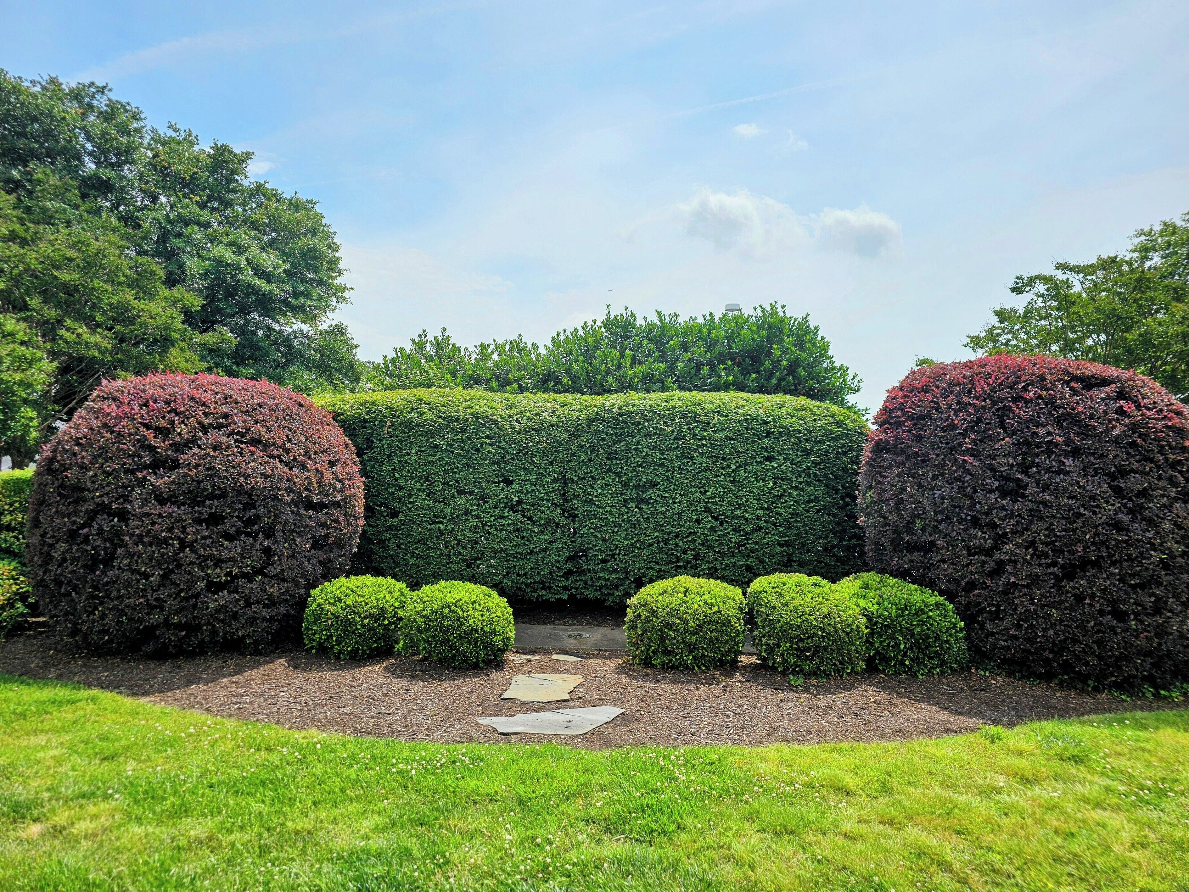 Foto - DoubleTree by Hilton Norfolk Airport