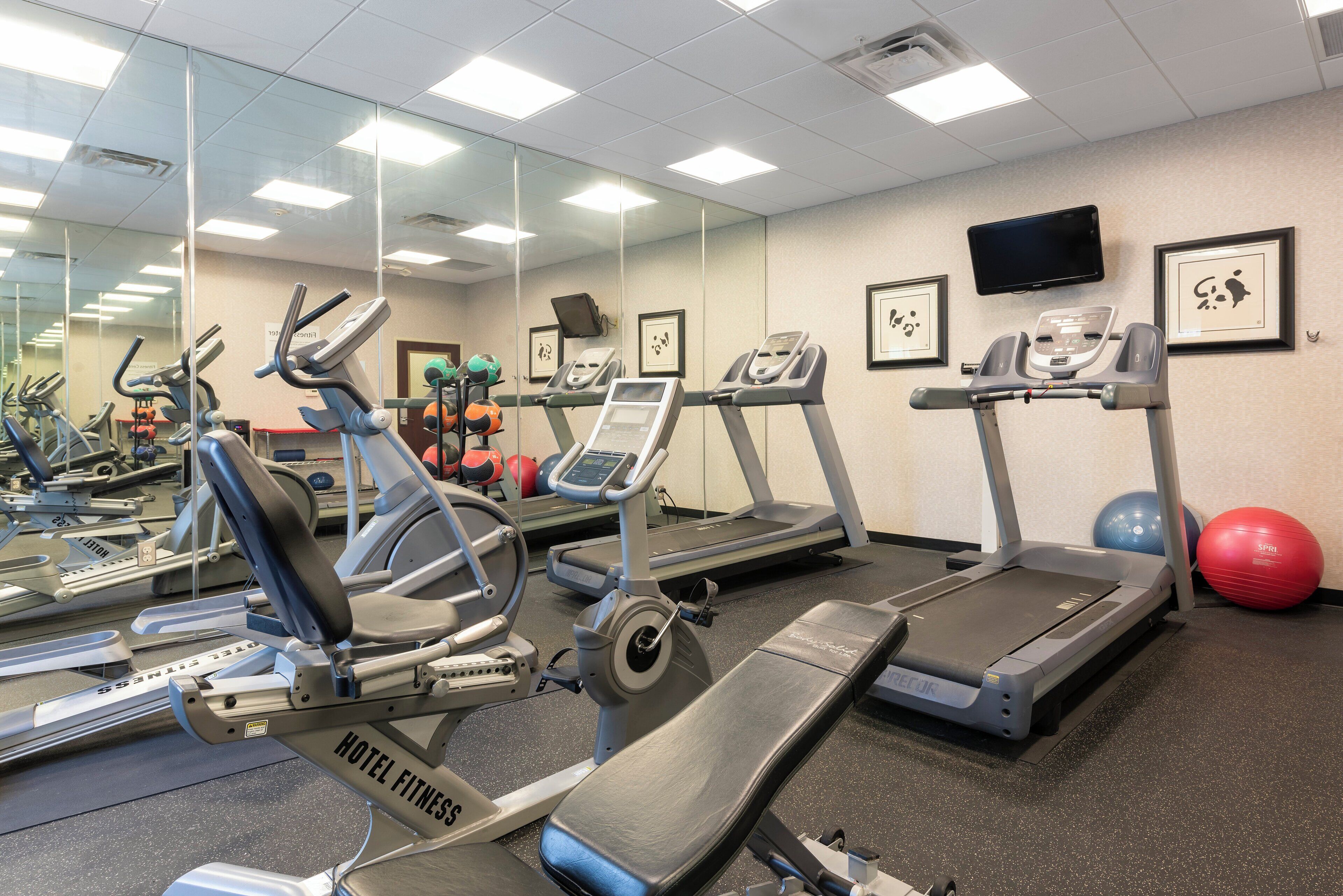 A gym with multiple treadmills, stationary bikes, and exercise balls.