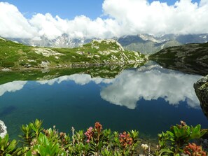 Wandern