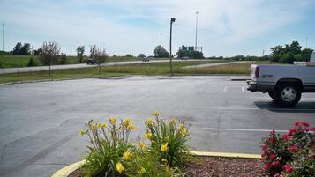A parking lot with a white pickup truck, yellow flowers, and a red flower bush.