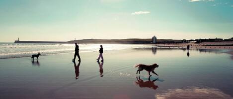 A beach scene with people and a dog, sun, and clouds.