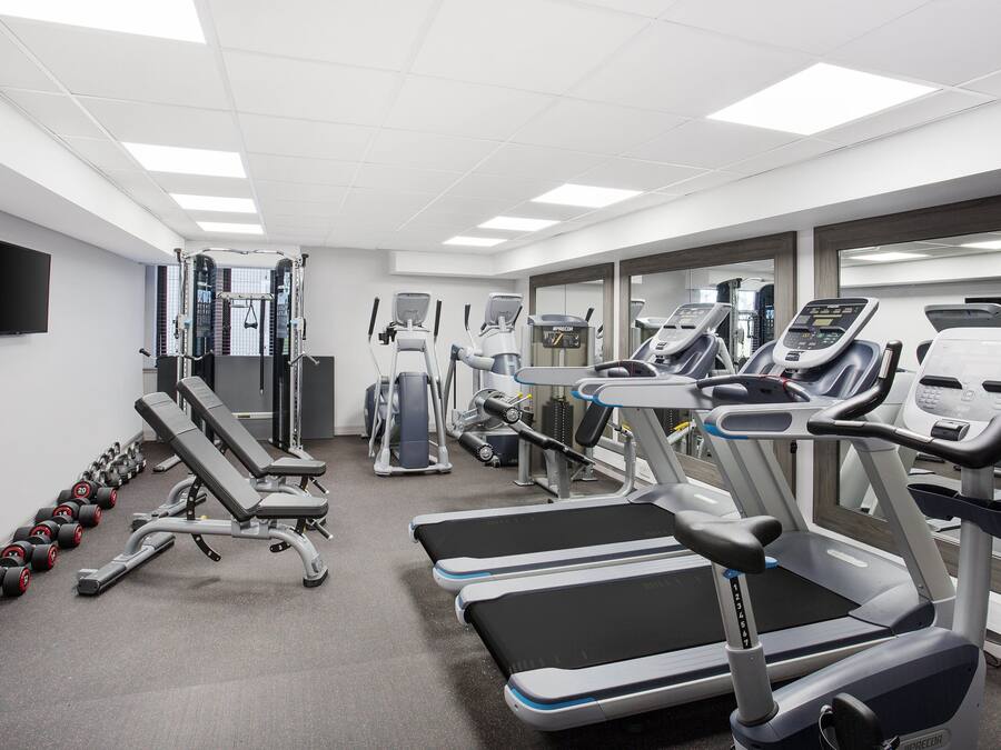 A modern gym with treadmills, weight machines, and free weights.