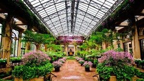 Un jardín interior espacioso con techo de vidrio, plantas en macetas y un camino central.