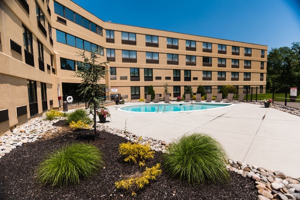 Outdoor pool, sun loungers