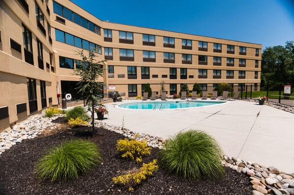 Outdoor pool, sun loungers