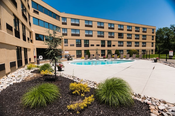 Outdoor pool, sun loungers