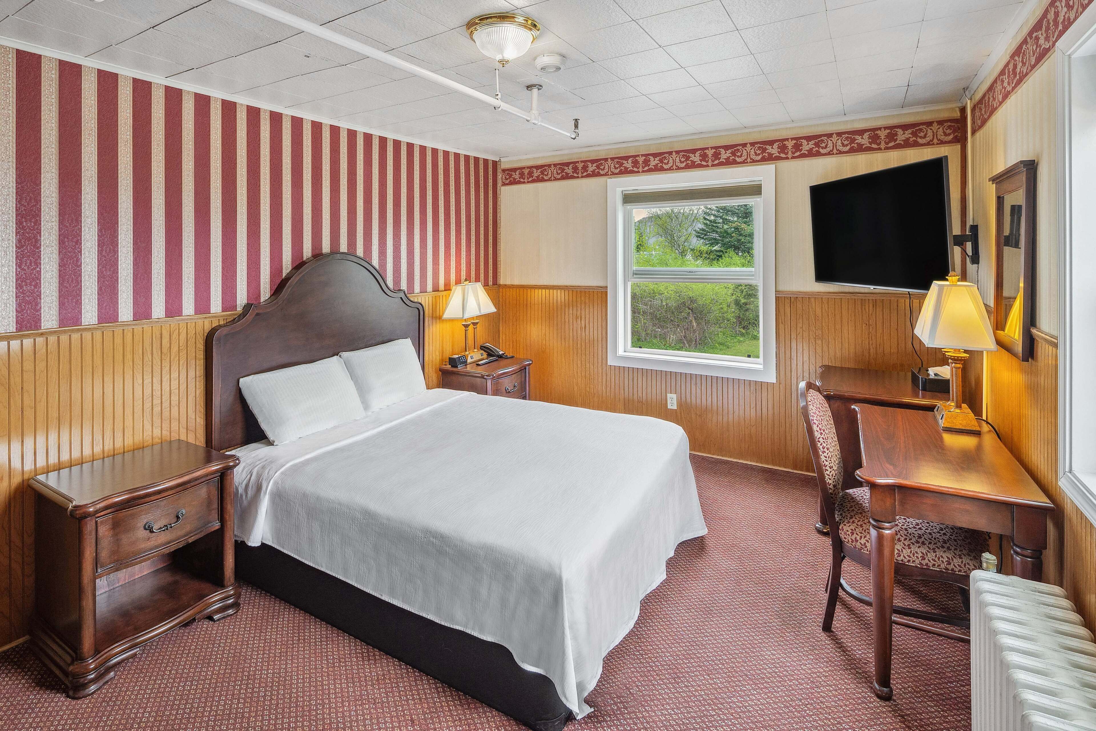 A hotel room with a bed, bedside tables, a desk with a chair, a television, and a window with a view of greenery.