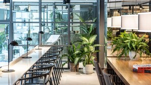 Un restaurante moderno con una barra larga, sillas negras y plantas en macetas.