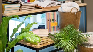 Una estantería con libros, una lámpara y plantas en macetas.