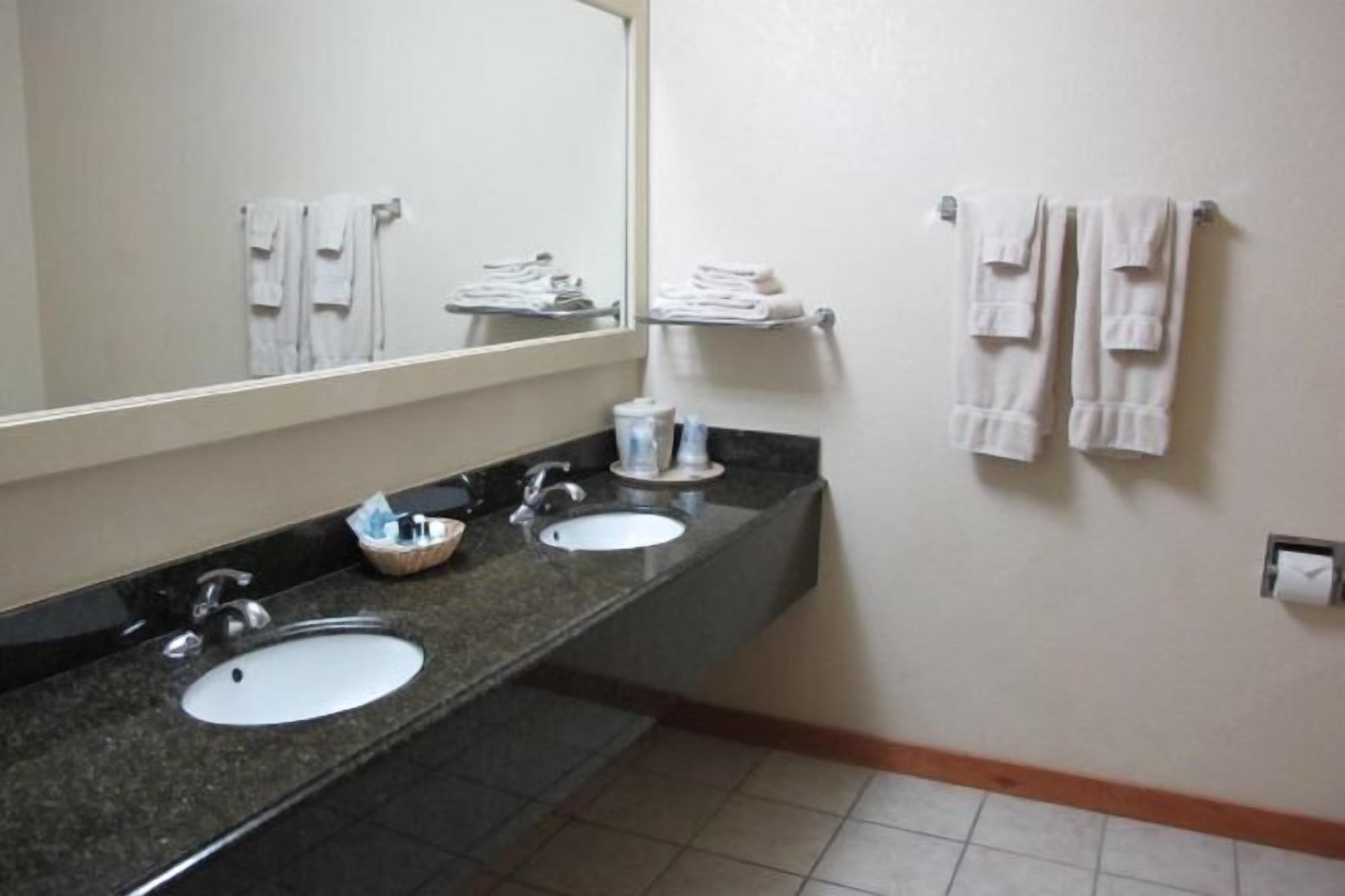 Eco-friendly toiletries, hair dryer, towels