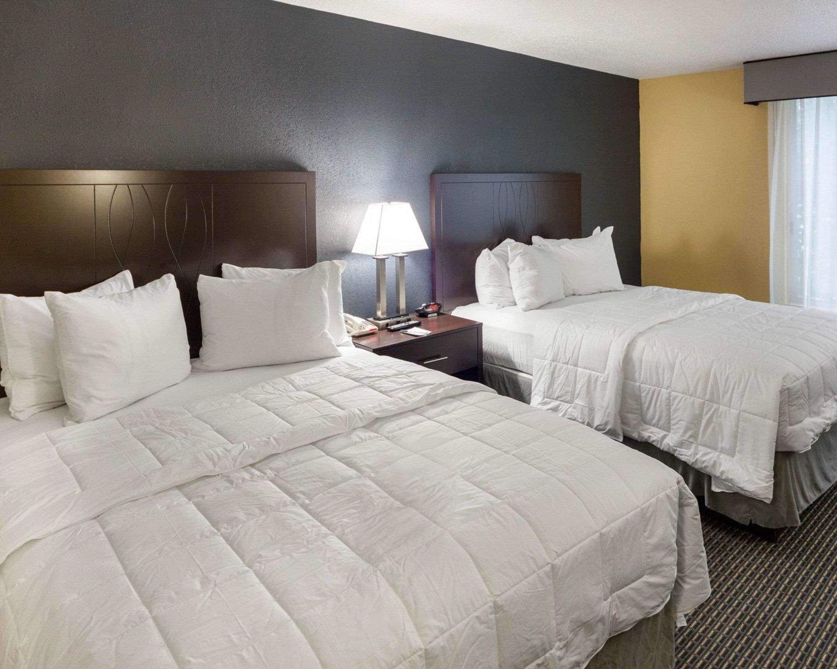 Una habitación de hotel con dos camas tamaño queen, una mesita de noche con lámpara y una ventana con cortinas.