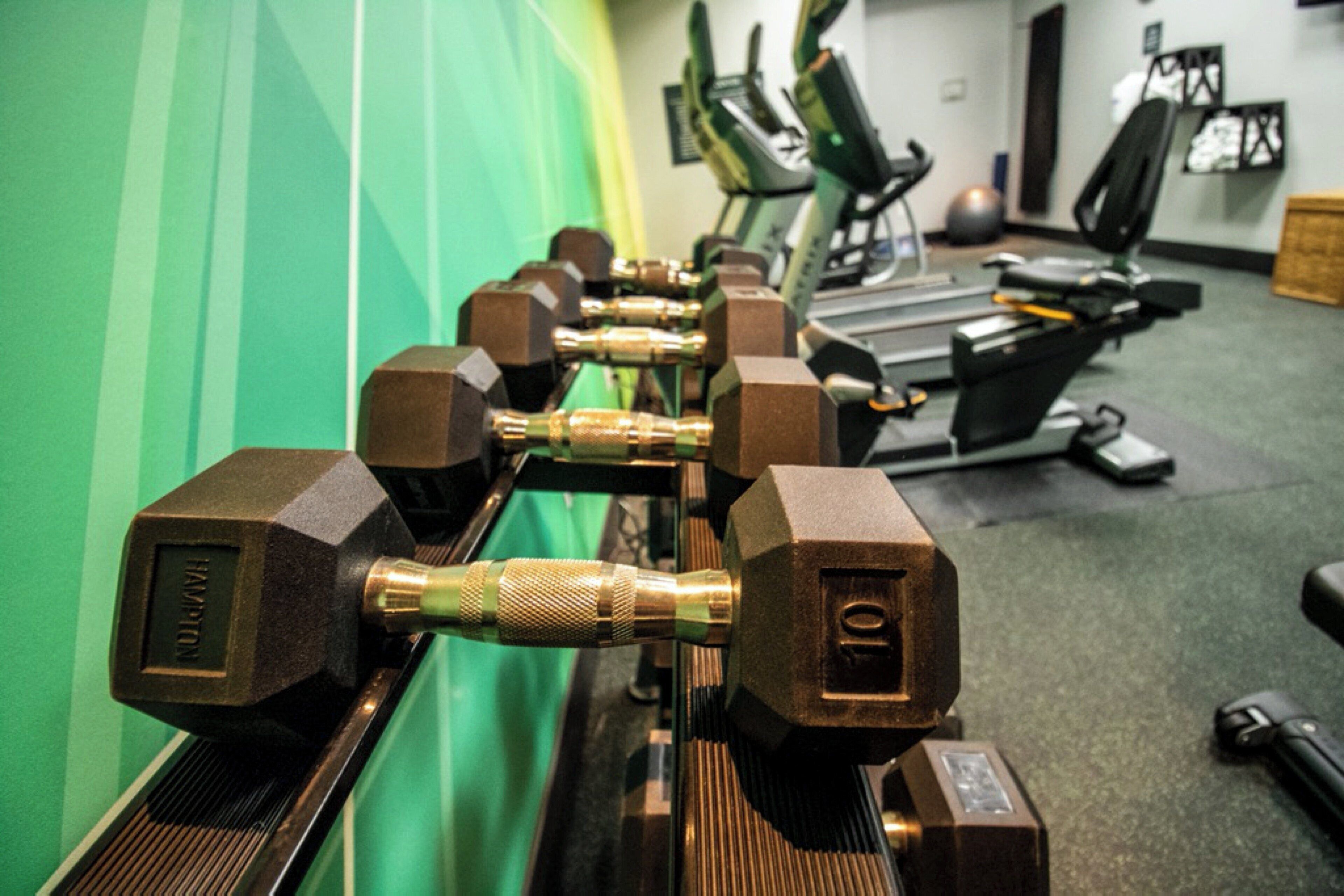 Une rangée de haltères réglables sur un support dans une salle de sport.