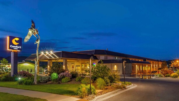 A Comfort Inn hotel at dusk with a well-lit entrance, landscaped garden, and a prominent bird sculpture.