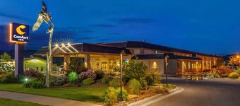 Comfort Inn Bozeman near University