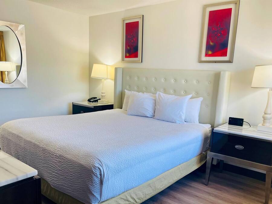 Iron/ironing board, free cribs/infant beds, rollaway beds, free WiFi