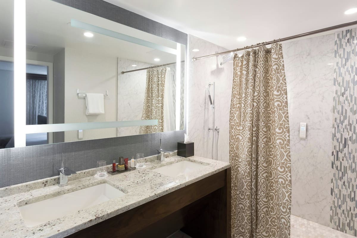 combined shower/bathtub, free toiletries, hair dryer, towels