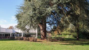 An outdoor seating area with tables and chairs under large trees, a building with large windows in the background.