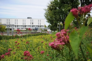 Ulkoalueet