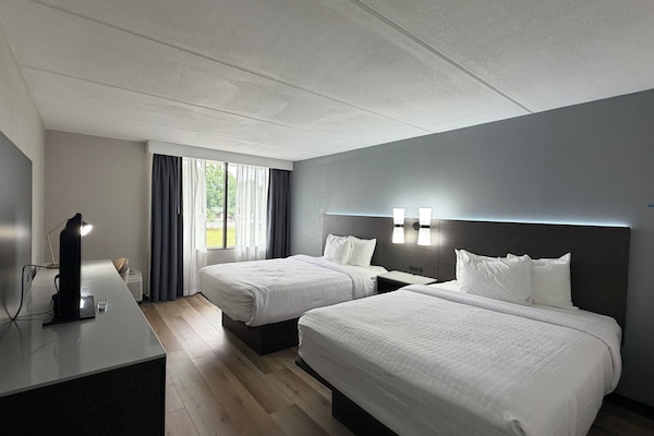 Standard Room, 2 Double Beds, Non Smoking, Refrigerator & Microwave | In-room safe, desk, laptop workspace, blackout drapes