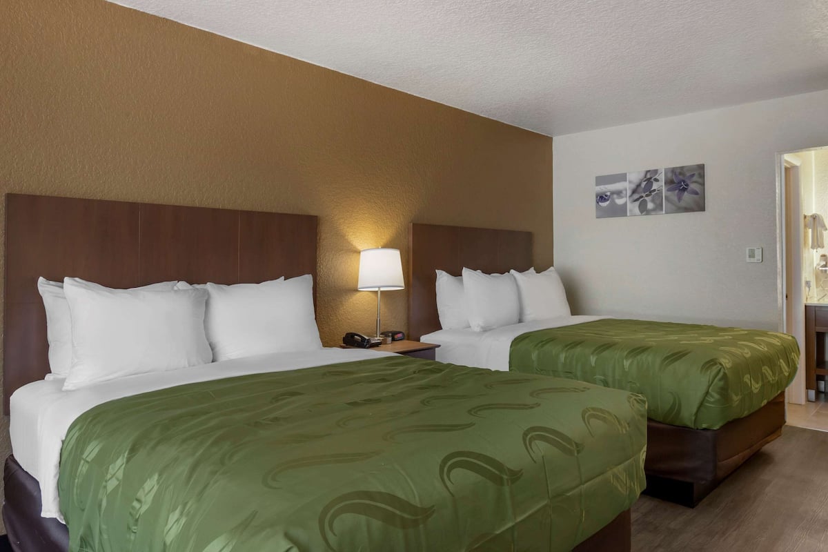Ein Hotelzimmer mit zwei Betten, jeweils mit weißer Bettwäsche und grünen Zierkissen. Zwischen den Betten befindet sich ein Nachttisch mit einer Lampe und einem Telefon. Das Zimmer verfügt über eine braune Kopfteil und eine weiße Wand mit einem gerahmten Bild.