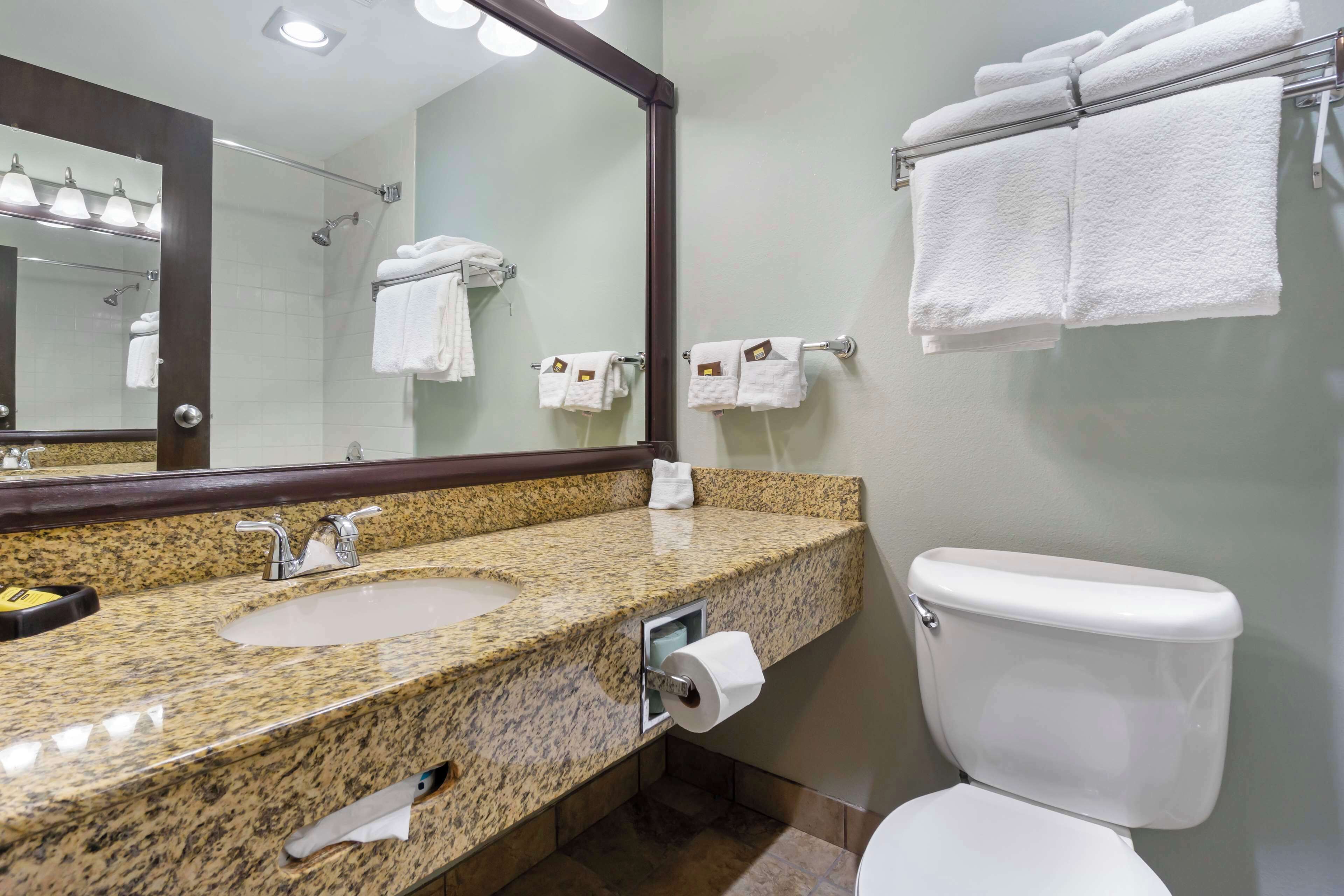 combined shower/bathtub, free toiletries, hair dryer, towels