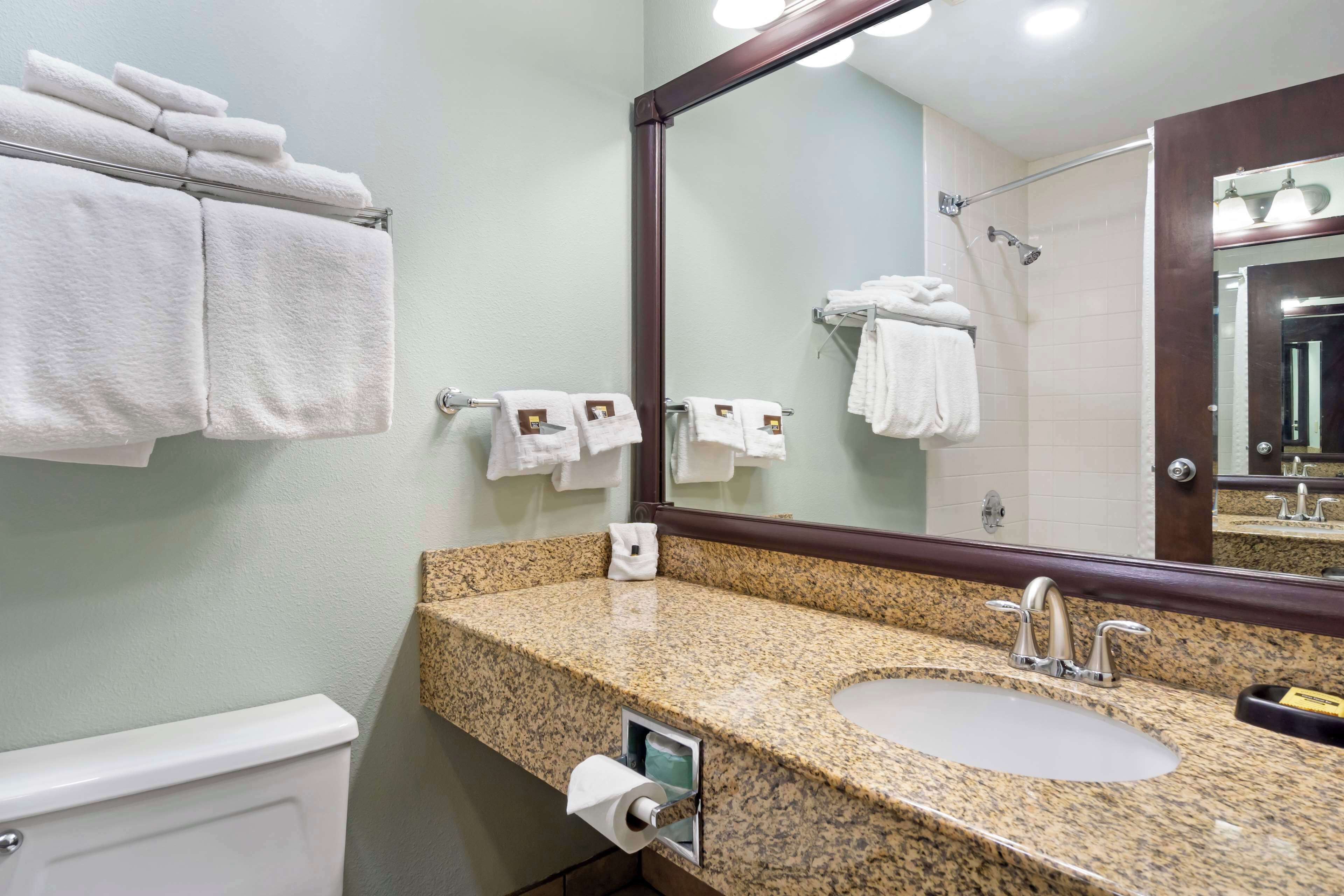 combined shower/bathtub, free toiletries, hair dryer, towels