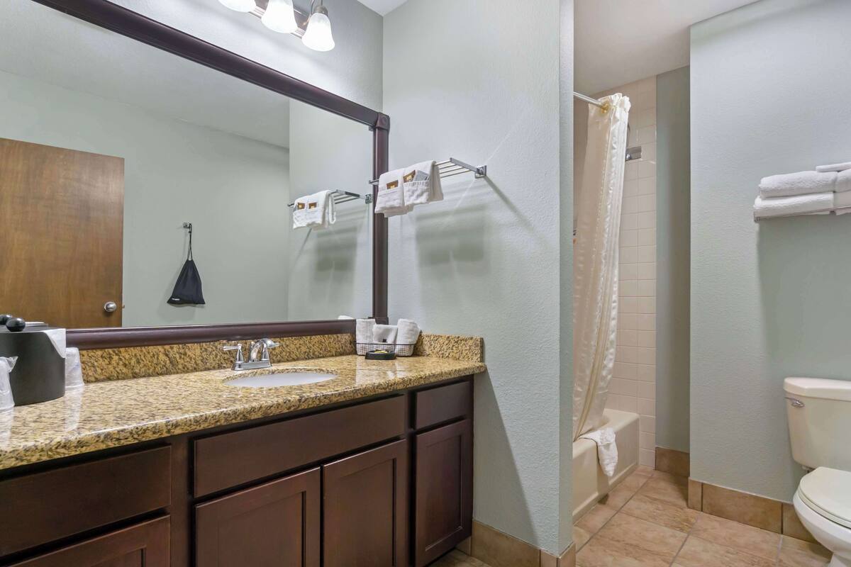 Une salle de bain avec un comptoir en granit, un lavabo, un miroir, un porte-serviettes et un rideau de douche.