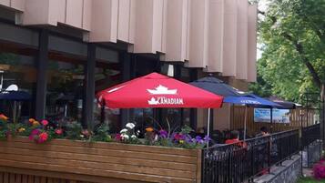 Terras